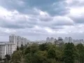 宏茂桥地铁站附近，四人一间找男女合租，环境干净，无屋主同住，包水电，可小煮，冷气，热水器，洗衣机，家具一应俱全！