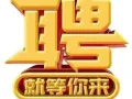 正规三号店招聘
