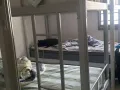 淡宾尼男床位,主人房女床位便宜出租