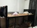 亚龙44巷公寓普通房男床位出租