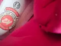 滑轮鞋