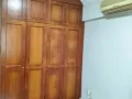 盛纲紫线大牌183B