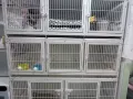 宠物店不干了，现出售一些二手用品 29-31号下午红山店内自取。