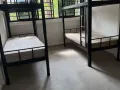 红茂桥大牌 339 男床位出租