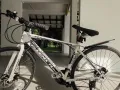 金文泰出售全新凤凰牌公路车