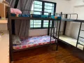 布莱德地铁站附近310095招男女搭房，本屋地址，可以大煮，有需要加微信15851222043