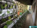 房屋出租芽笼4巷