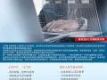 新加坡本地学历提升