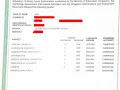 1 to 1 Chinese Tutor
