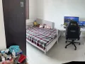 女皇镇普通房4月26日入住