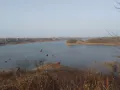 4月15日回国带件，并帮助邮寄到家