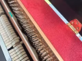 钢琴🎹出售 保养很好 钢琴的音色很美！ 适合启蒙或者考级练习