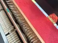 钢琴🎹出售 保养很好 钢琴的音色很美！ 适合启蒙或者考级练习