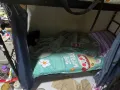 招男搭房