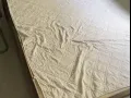 1.8x 2米大床加超厚真椰丝床垫免费送