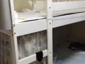 靠近港湾vivo city女生床位本屋地址