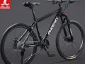 金文泰出售全新凤凰牌山车$198