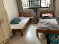 一套单人木床加海马床垫