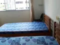 AMK/Yishun/Woodlands/Sembawang北部普通房间/床位出租
