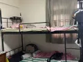 欲朗东德曼花园床位招人
