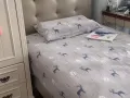 淡滨尼新房普通间出租
