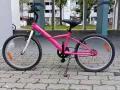 贱卖学生车9成新30元（身高一米五六即可）