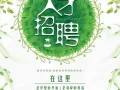 按摩师，一定要会各种按摩：油推和指压等和足底按摩。