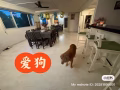 兀兰730821 男上铺床位$450通房