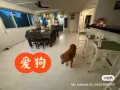 兀兰730821 男上铺床位$450通房