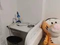 普通房出租