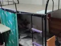 牛车水地铁站附近有女床位出租