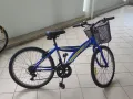 闲置的自行车50元