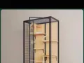 1天1千新币，现结