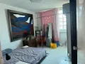 丹拉美拉普通房出租