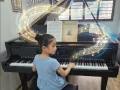 三角钢琴 Steinway Grand Piano B-211