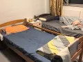 主人房床位出租