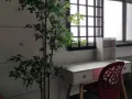 巴西立普通房单间招租