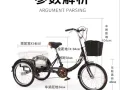 新加坡实体店铺在售哦，品质非常棒，可以先到店铺来试骑同款哦！全岛免费配送上门