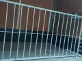 单人铁床出售