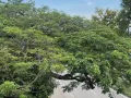 纹理靠近晟松超市和停车场附近 275招4人间男搭房一位。包水电网。下铺