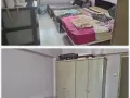 淡滨尼4房室普通房床位出租