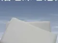 记忆枕