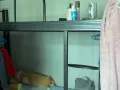 榜鹅轻轨珊瑚站，男女床位出租，夫妻间