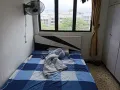 bedok north blk 701普通房出租