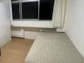 马来西亚女 800 大单间