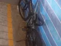 自用自行车 回国出售 八成新