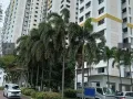 中峇鲁地铁站大华银行旁有双人间 只限男生抽烟打呼噜勿扰