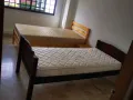 淡宾尼近机场两人间出租