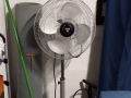 风扇出售