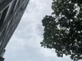義順。。 249 主人房，兩人間，獨立衛生間，升菘超市對面，有女床位，招一個女生，